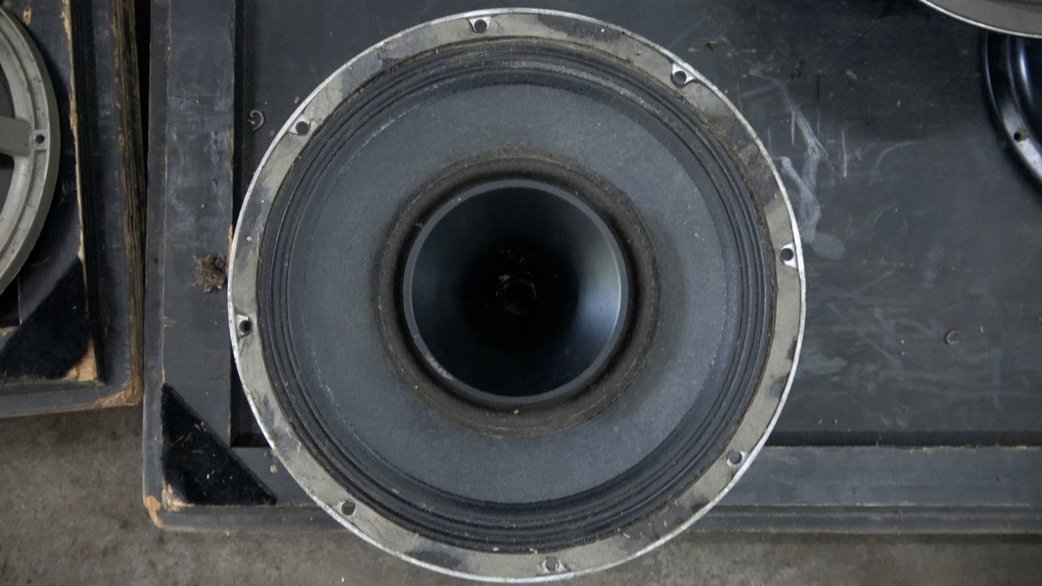 Peavey Black Widow speaker assembly with central horn